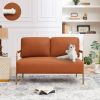 Small Sofa Seater Pet Friendly Fabric Upholstered Loveseat 2-seater Couch with Removable Back Cushion and Metal Leg